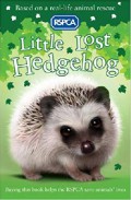 Little Lost Hedgehog