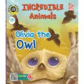Incredible Animals: Olivia the Owl?