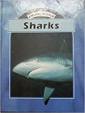 Animal World: Sharks