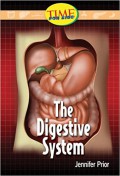 Time For Kids : The Digestive System