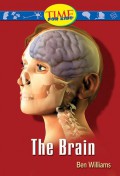 Time For Kids : The Brain