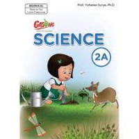 Gasing : Science 2A