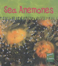 Read And Learn : Sea Anemones