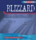 Wild Weather : Blizzard