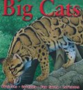 100 Facts : Big Cats