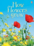 Usborne Beginners : How Flowers Grow