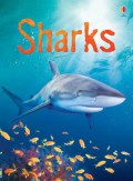 Usborne Beginners : Sharks