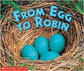 From Egg To Robin