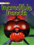 Literacy World : Incredible Insects