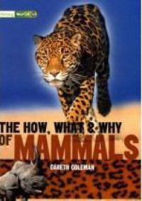 Literacy World : The How, What & Why Of Mammals