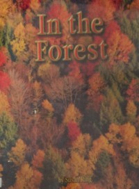 (Big Book) Stutterbug Books : In The Forest