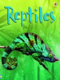 Usborne Beginners : Reptiles