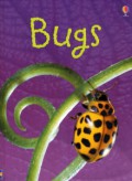 Usborne Beginners : Bugs