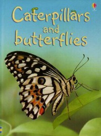 Usborne Beginners : Caterpillars And Butterflies