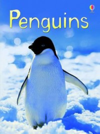 Usborne Beginners : Penguins