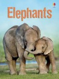 Usborne Beginners : Elephants