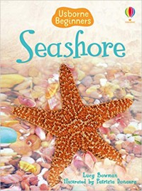 Usborne Beginners : Seashore