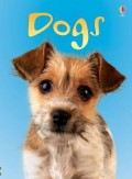 Usborne Beginners : Dogs