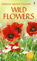 Usborne Spotter'S Guides : Wild Flowers