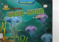 Science Alive : Ubur-Ubur (Jellyfish)