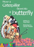 How Caterpillar Grows Into A Butterfly