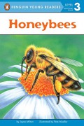 Puffin Young Readers (Lv 3) : Honeybees