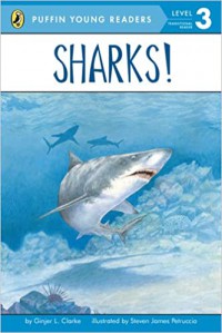 Puffin Young Readers (Lv 3) : Sharks!