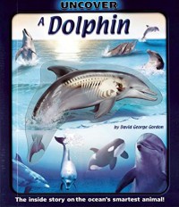 Uncover : Dolphin (3D)