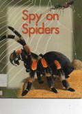 First Explorer : Spy On Spiders