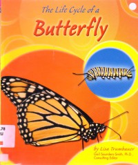 The Life Cycle Of A Butterfly