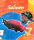 The Life Cycle Of A Salmon