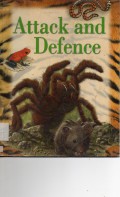 Explorer : Attack And Defence