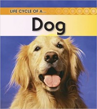 Life Cycle Of A Dog