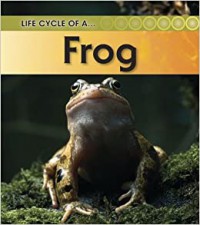 Life Cycle Of A Frog