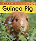 Life Cycle Of A Guinea Pig