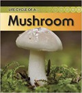 Life Cycle Of A Mushroom