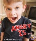 Angry Is ?