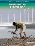 The Environment Challenge : Bridging The Energy Gap