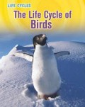 Life Cycles : The Life Cycle Of Birds