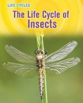 Life Cycles : The Life Cycle Of Insects