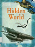 Explorer : Hidden World