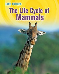 Life Cycles : The Life Cycle Of Mammals