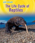 Life Cycles : The Life Cycle Of Reptiles