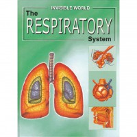 Invisible World : The Respiratory System