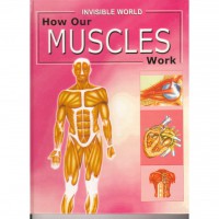 Invisible World : How Our Muscles Work