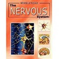 Invisible World : The Nervous System