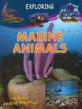 Exploring : Marine Animals