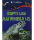 Exploring : Reptiles And Amphibians