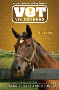 Vet Volunteers 3 : Trickster