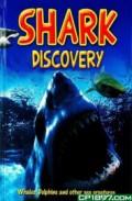 Shark Discovery